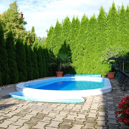 Barackvirag Vendeghaz