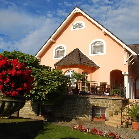 Barackvirag Vendeghaz Pensjonat