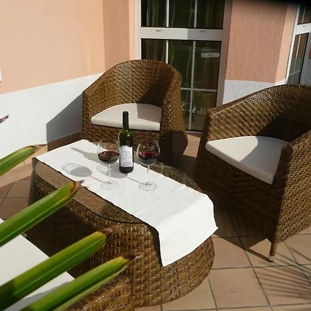 Barackvirag Vendeghaz