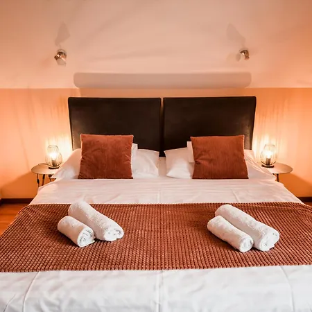 Barackvirag Vendeghaz