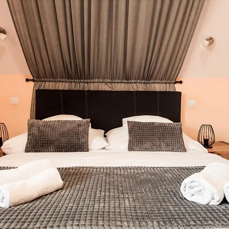 Barackvirag Vendeghaz