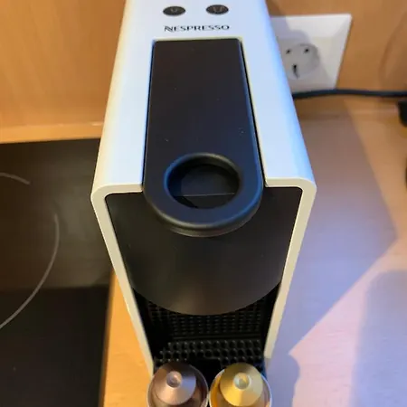 Barackvirag Vendeghaz