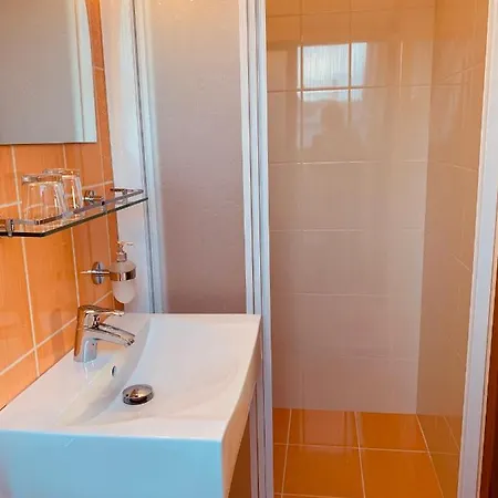 Barackvirag Vendeghaz